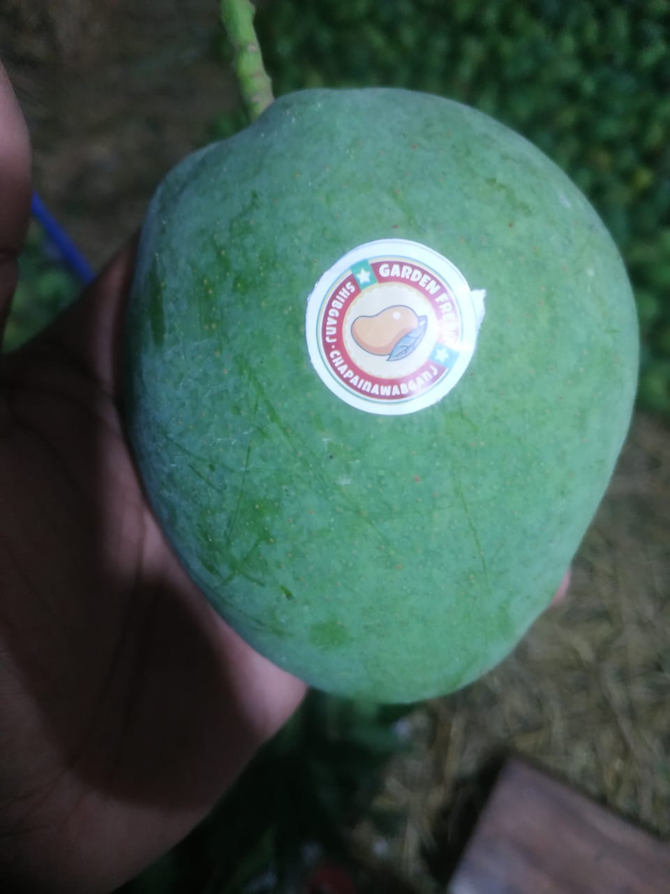 Chapainawabganj
