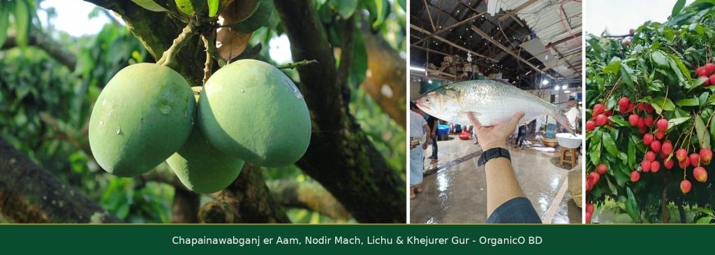 OrganicO BD - Fresh Chapainawabganj er Aam, Nodir Mach, Lichu & Khejurer Gur Home Delivery in Dhaka Bangladesh